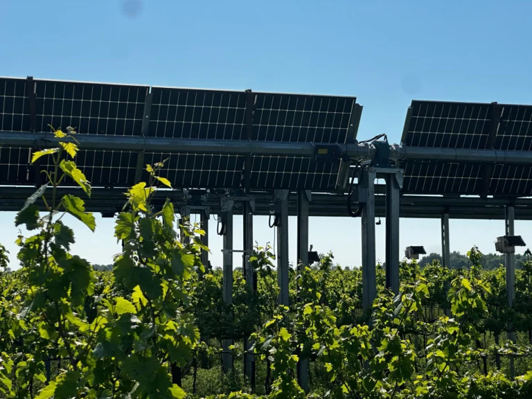 Sistema Agrivoltaico